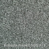 Robusta Project-SDN 473